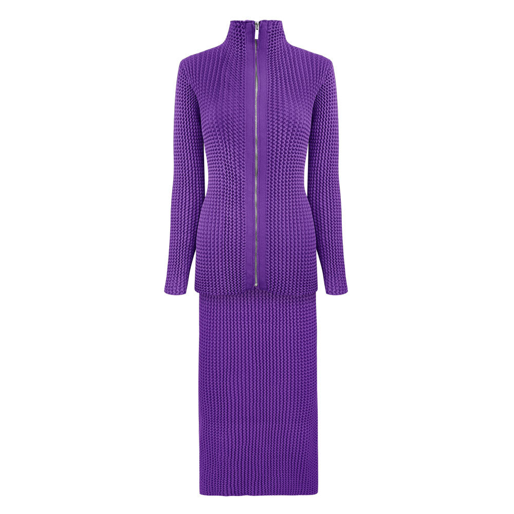 Long Sleeve Stand-up Collar Slim Fit Zipper Woolen Top Thickened Skirt Wave Pleated Two-Piece Suit Women