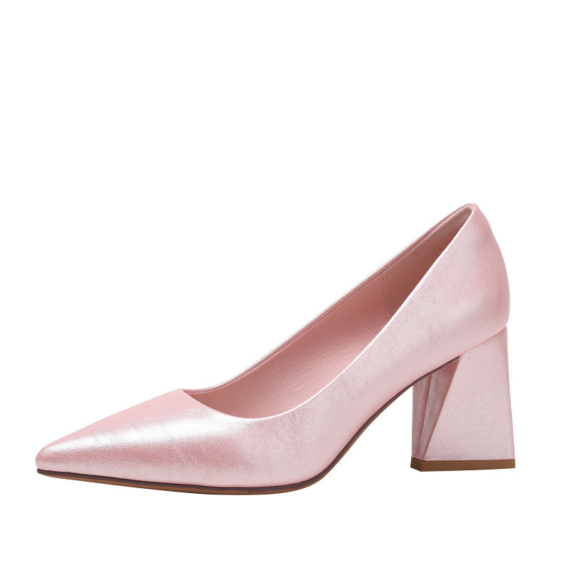 Chunky Heel Shoes Women's Career Interview Heel Shoes