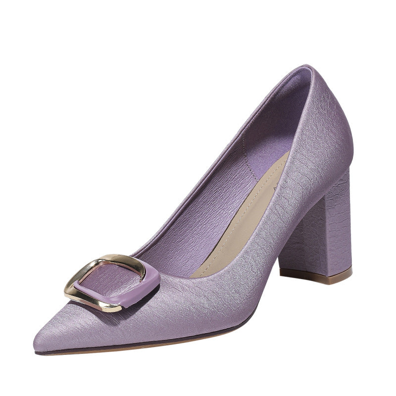 Pointed Toe Pumps Spring and Autumn Commuting Fashion Leather Shoes Chunky Heel Shoe Buckle French Heel Shoes