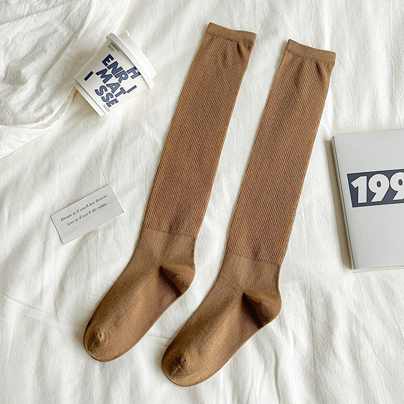 [2 Pairs] Spring and Summer Thin Cotton Thin and Breathable Small Back Socks Stocking Breathable and Transparent All-Match Fashion